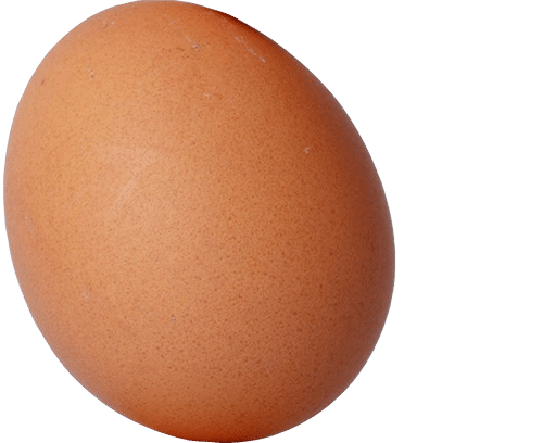 Wissenswertes Ei