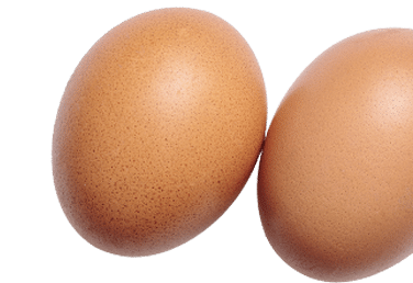 GefluegelhofFeld_start_parabg_eggs2